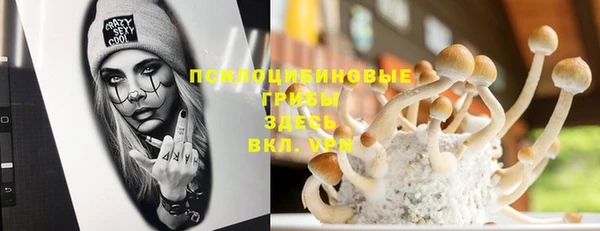 прущая мука Арсеньев