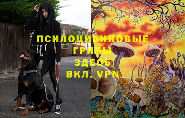 альфа пвп VHQ Михайловск