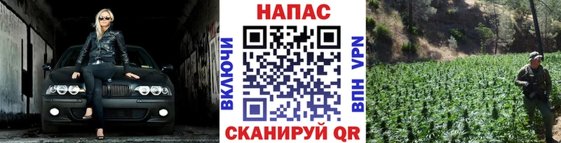 Конопля планчик  Купить где  Бор 